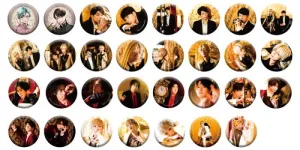 [Blind](Goods - Badge) KINDAN SIRI SILLY PARTY Trading Tin Badge