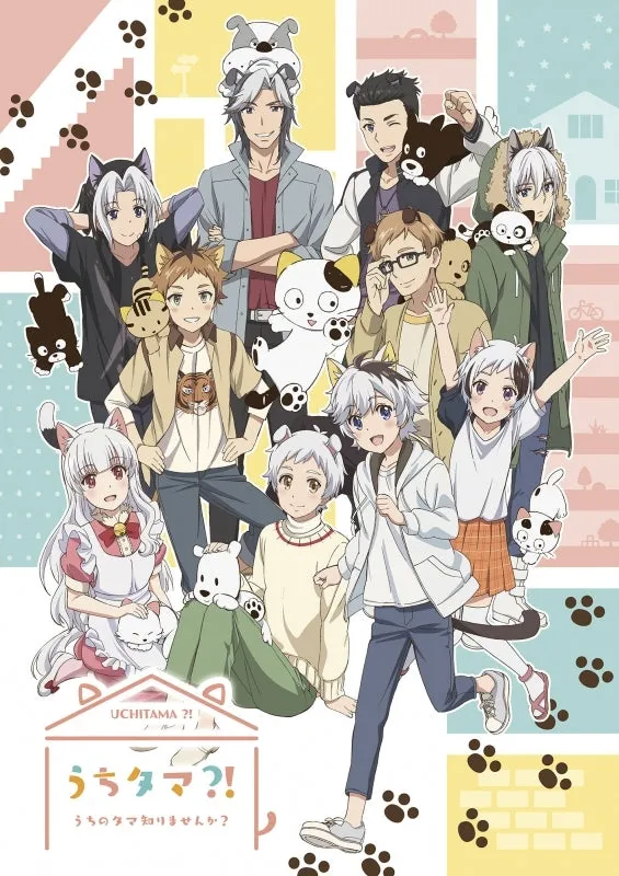 (DVD) Uchitama?!: Have you seen my Tama? TV Series Vol. 4 [Complete Production Run Limited Edition]