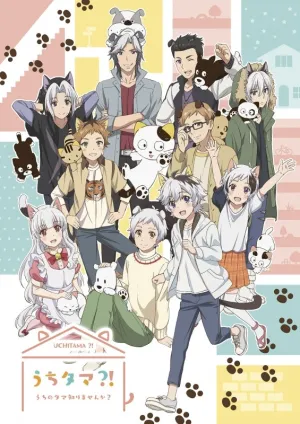 (DVD) Uchitama?!: Have you seen my Tama? TV Series Vol. 4 [Complete Production Run Limited Edition]