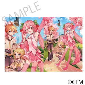 (Goods - Clear File) Sakura Miku  Hirohako Clear File Folder Hakodate 2025 - Art by Sazanami