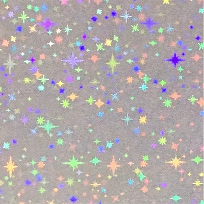 (Goods - Cover Other) Non-Character Original Bromide Holographic Sleeve Southern Cross (20 Pcs)