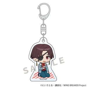 (Goods - Key Chain) WIND BREAKER Acrylic Key Chain (Hayato Suo/Picnic)