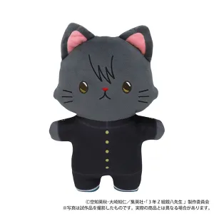 (Goods - Plush) 3-Z GINPACHI SENSEI withCAT Flat Plush With Eye Mask Kotaro Katsura